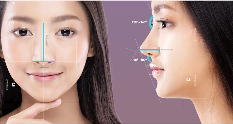 정면·옆모습 모델 위에 코 높이·각도 비율선을 그린 도식
