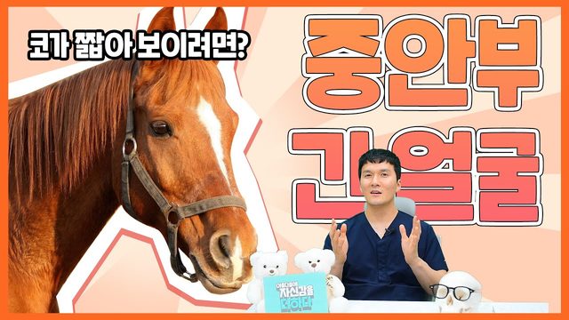 중안부 긴얼굴