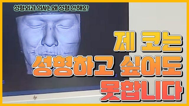 제 코는 성형하고 싶어도 못합니다
