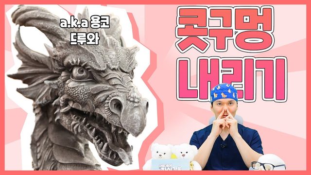 콧구멍 내리기